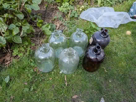 Photo of free 6 demijohns (GL16 7LU) #1
