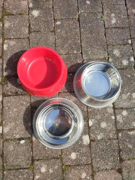 Photo of free 3 large dog bowls 20cm diameter (Fiveways BN1) #1