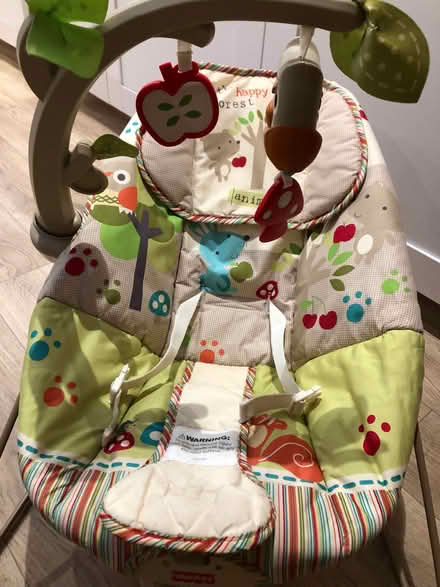 Photo of free Baby Bouncer (Weston) #3