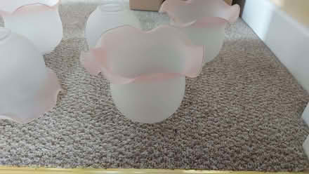Photo of free Glass lampshades (Pokesdown BH6) #1