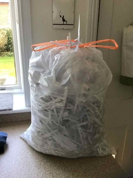 Photo of free Large bag of shredded paper - maybe small animal bedding (Alderley Edge SK9) #1