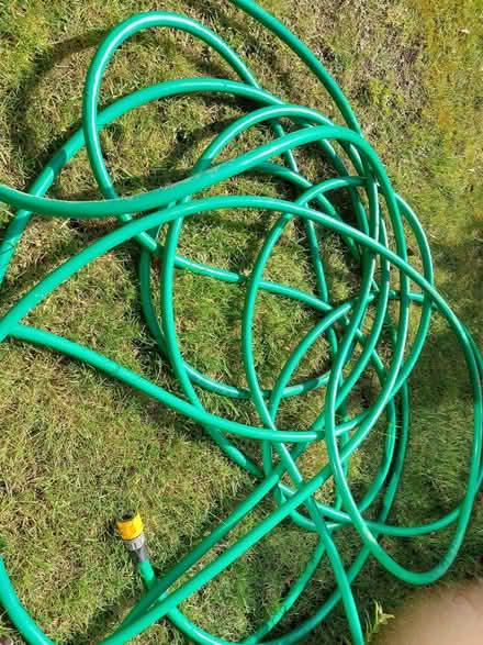 Photo of free Garden Hose. Approximate 100 ft. (we lost count.) (Sharples BL1) #2