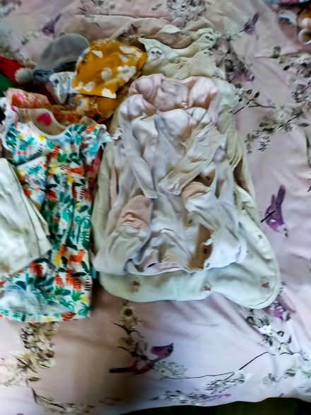Photo of free Girls clothing (Oswestry) #2
