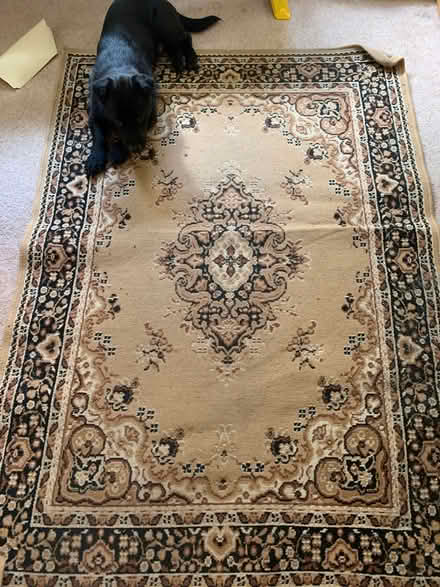 Photo of free Patterned Rug (Wooburn Green HP10) #1