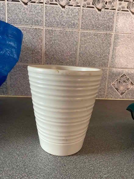 Photo of free Plant pot (SK3 Edgeley) #1