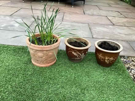 Photo of free Garden pots/planters (Ashington NE63) #1