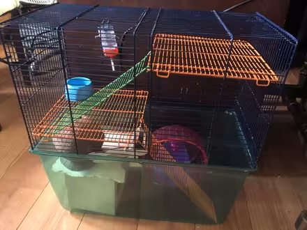 Photo of free Rodent cage & accessories (Hertford SG13) #1