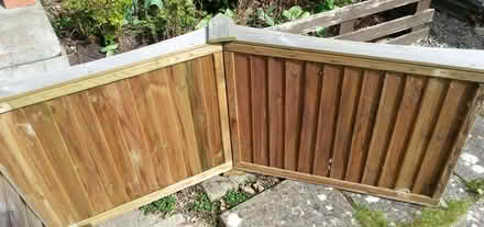 Photo of free Garden Arbour (Bawdrip TA7) #4