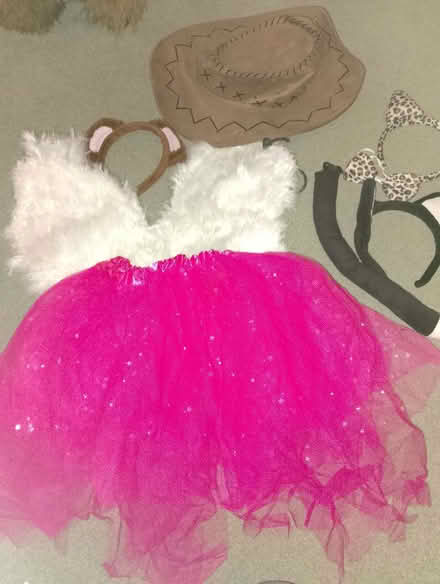 Photo of free Mixed dress up child/adult (Fords Farm RG31) #1