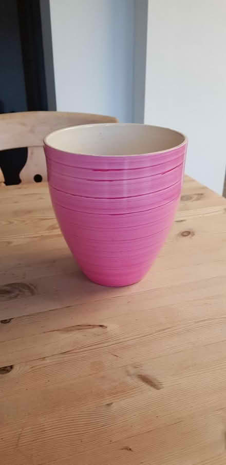 Photo of free House Plant Pot (Southdown) #1