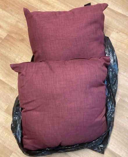Photo of free 2 Large Pillows/Cushions, New (High Bentham LA2) #1