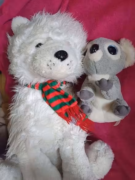 Photo of free 3 Soft Toys (Clive Vale TN35) #1