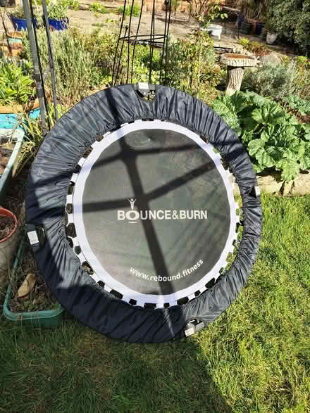 Photo of free Fitness mini trampoline (Pilton EX4) #1