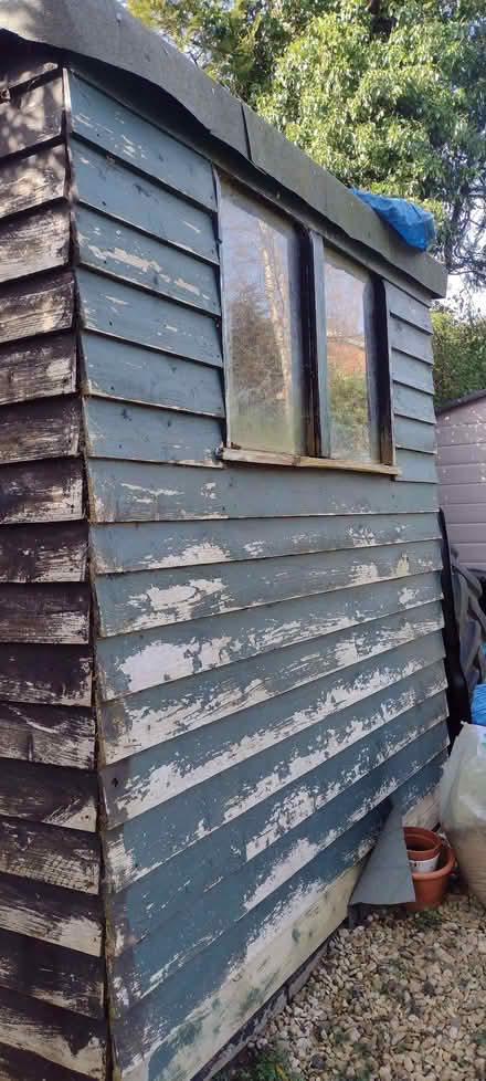 Photo of free Wooden garden shed (Sherrard's Green WR14) #2