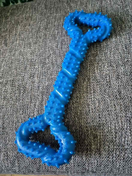 Photo of free Dog toy (High Green S35) #1