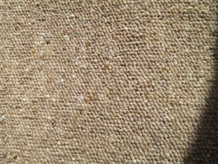 Photo of free Carpet remnant (Enfield EN2) #1