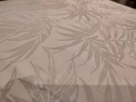 Photo of free 2 x feather pillows & cases (Claverton) #2