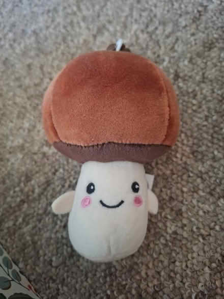 Photo of free Plushie mushroom keyring (Seaside BN22) #1