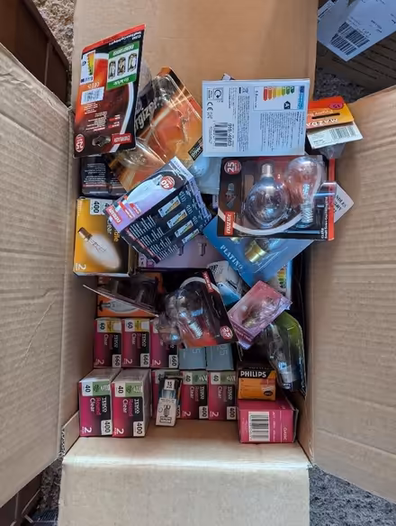 Photo of free Light Bulbs (Downes Head EX17) #3