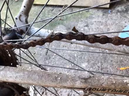 Photo of free Bike (Chatham ME4) #2