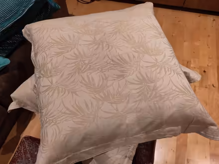 Photo of free 2 x feather pillows & cases (Claverton) #1