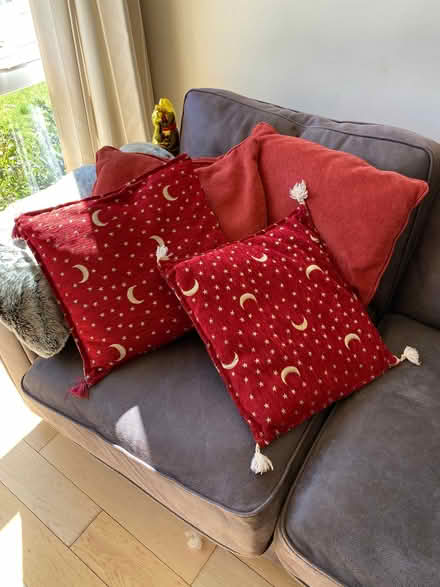 Photo of free 4 cushions (Liberton EH16) #1
