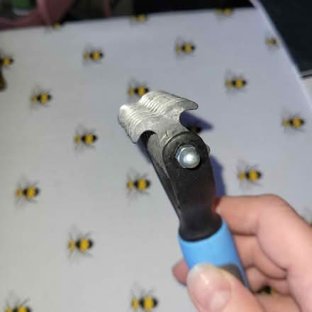 Photo of free Pet brush (West Southbourne BH6) #2
