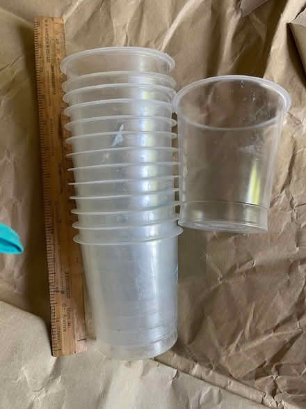 Photo of free Yogurt pots as plant pots? (Finsbury Park N4 2QQ) #1