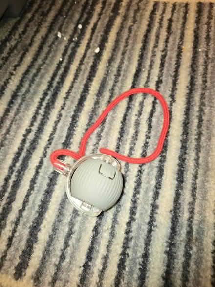 Photo of free Cat toy (West Croydon CR0) #1