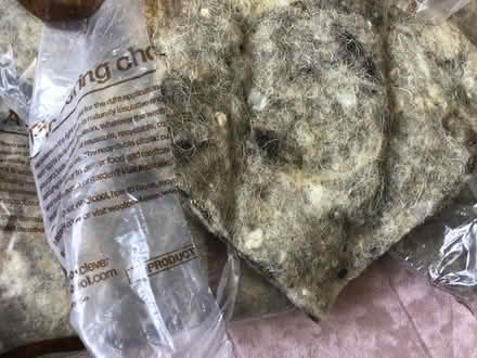 Photo of free wool insulation for plants etc (Selly Oak) #1