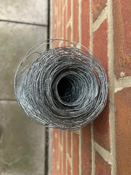 Photo of free Chicken Wire 50mm (Chalgrove OX44) #2