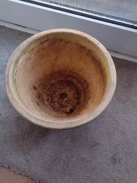 Photo of free Garden pot (Hatfield, Herts) #2