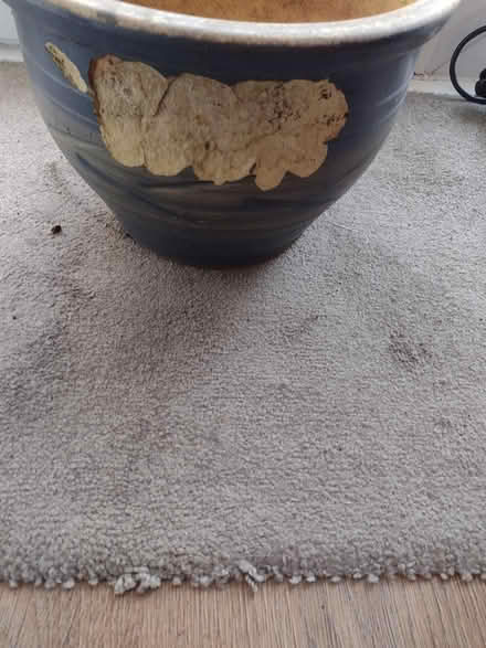 Photo of free Garden pot (Hatfield, Herts) #3