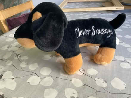 Photo of free Clever sausage dog teddy bear (Radlett WD7) #1