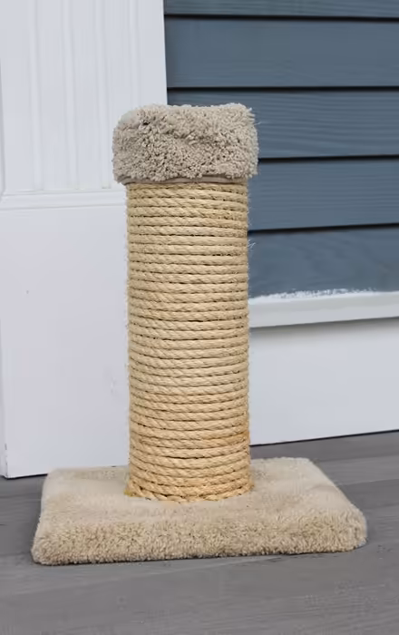 Photo of free Cat Scratching Post (West Townsend) #1