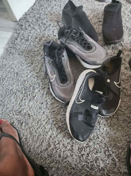 Photo of free Trainers (E8) #3