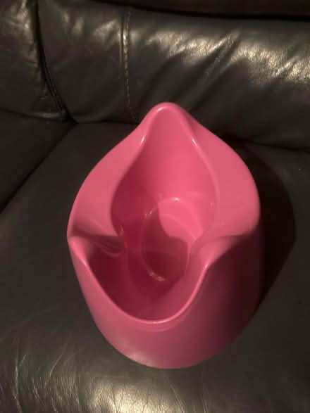 Photo of free Pink potty (West bromwich) #3