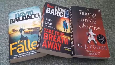 Photo of free 3 crime fiction books (New Greens AL3) #1