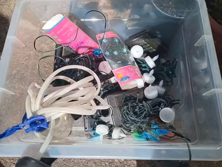 Photo of free Fairy lights (Penrith CA11) #1