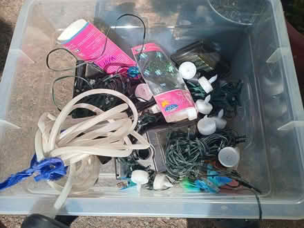 Photo of free Fairy lights (Penrith CA11) #1