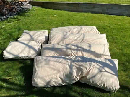 Photo of free Garden cushions with washable covers - 4 large and 2. small (Dane Mead RG24) #1