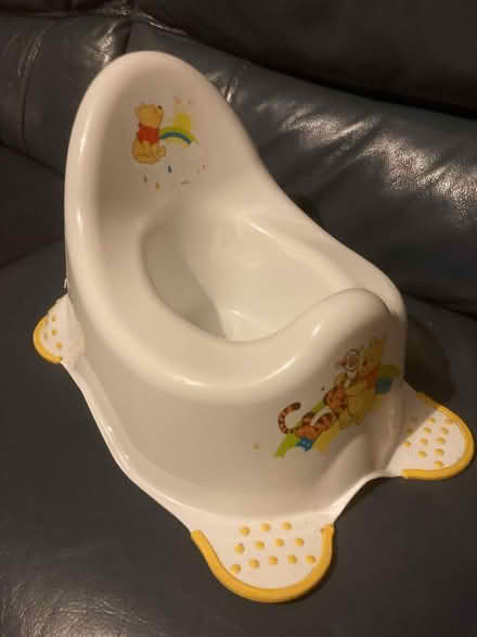 Photo of free Winnie the pooh potty (West bromwich) #1