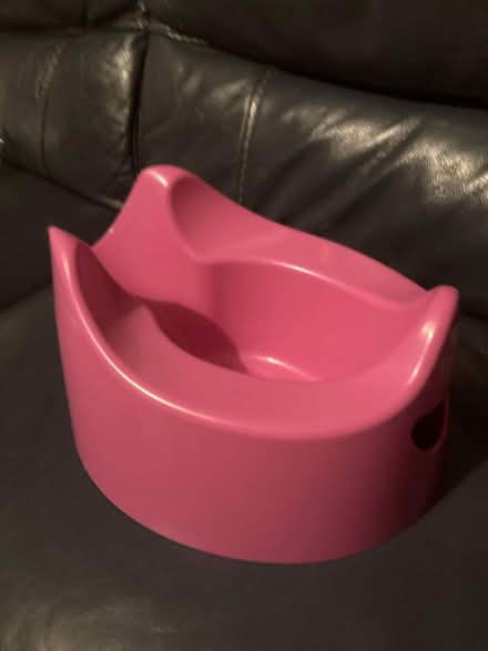 Photo of free Pink potty (West bromwich) #1