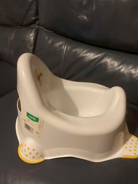 Photo of free Winnie the pooh potty (West bromwich) #2