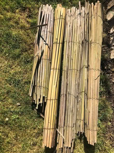 Photo of free Old screening (Ely CB6) #1