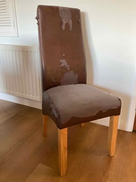 Photo of free 6 dining chairs - last call (Street BA16) #1