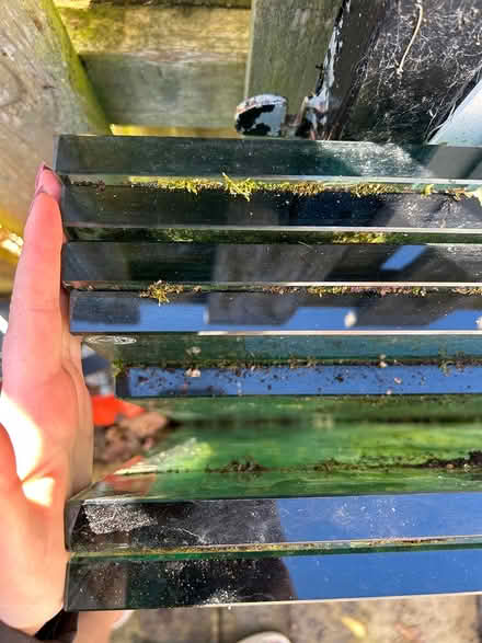 Photo of free 6 glass panels (LS5) #3