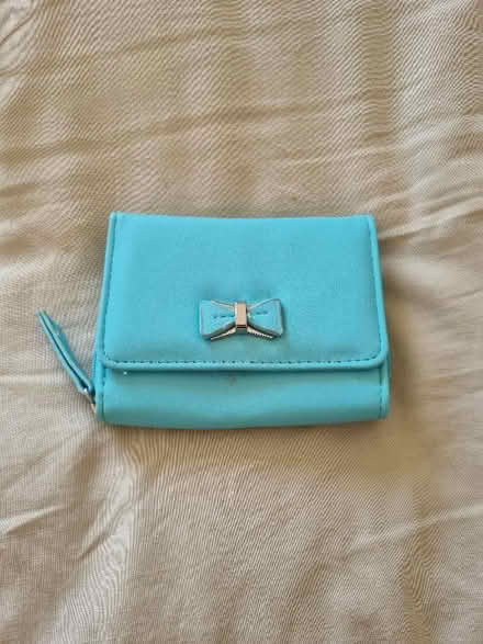 Photo of free Light blue purse (Abraham Heights LA1) #1