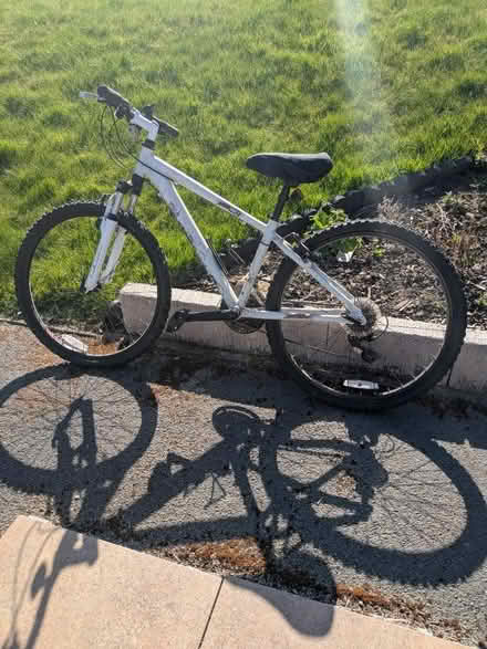 Photo of free Ladies Bicycle (Stainton S66) #2