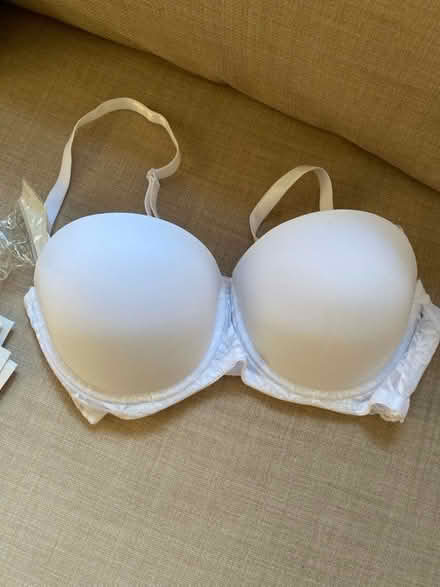 Photo of free Bra (Whitemans Green RH17) #1